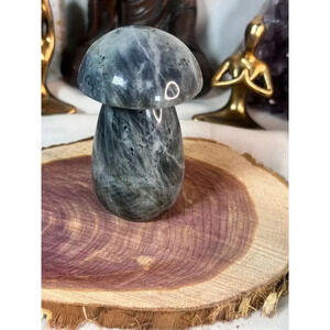 Silver Labradorite Mushroom